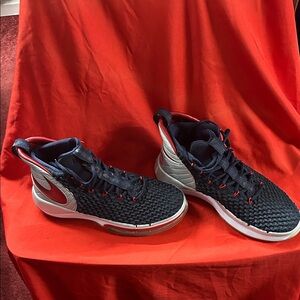 Nike Dark Blue and Crimson High-Tops